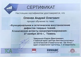 Сертификаты и дипломы Оленёв Андрей Олегович