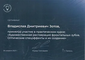 Сертификаты и дипломы Зотов Владислав Дмитриевич