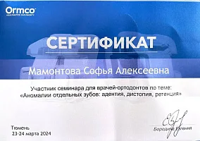 Сертификаты и дипломы Мамонтова Софья Алексеевна 