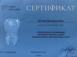 Сертификаты и дипломы Зотов Владислав Дмитриевич