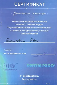 Сертификаты и дипломы Геюшова Яна Набиевна