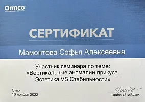 Сертификаты и дипломы Мамонтова Софья Алексеевна 