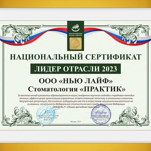 Практик - лидер отрасли 2023