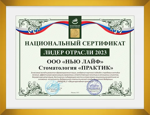Практик - лидер отрасли 2023