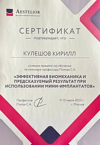Сертификаты и дипломы Кулешов Кирилл Александрович