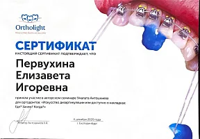 Сертификаты и дипломы Литвинова Елизавета Игоревна