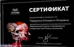 Сертификаты и дипломы Литвинова Елизавета Игоревна