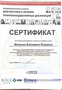 Сертификаты и дипломы Литвинова Елизавета Игоревна