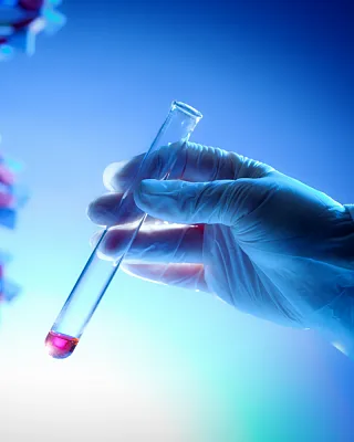 Будущее стоматологии: ученые впервые вырастили человеческие зубы в лаборатории