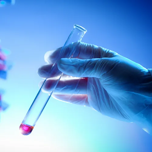 Будущее стоматологии: ученые впервые вырастили человеческие зубы в лаборатории