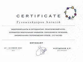 Сертификаты и дипломы Гулямхайдаров Алексей Алексеевич