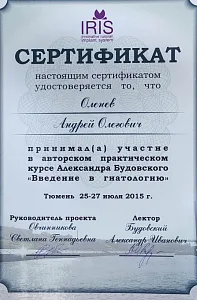 Сертификаты и дипломы Оленёв Андрей Олегович
