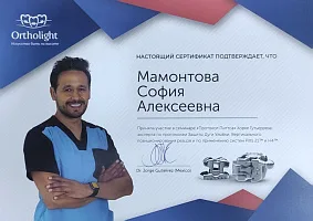 Сертификаты и дипломы Мамонтова Софья Алексеевна 
