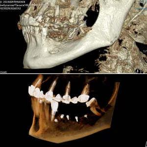Работы специалиста
