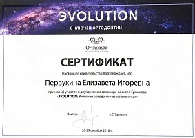 Сертификаты и дипломы Литвинова Елизавета Игоревна