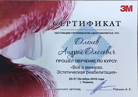 Сертификаты и дипломы Оленёв Андрей Олегович