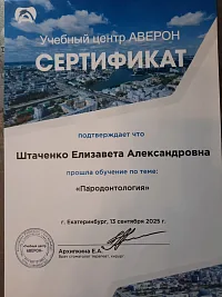 Сертификаты и дипломы Штаченко Елизавета Александровна 