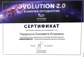 Сертификаты и дипломы Литвинова Елизавета Игоревна