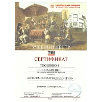 Сертификаты и дипломы Геюшова Яна Набиевна