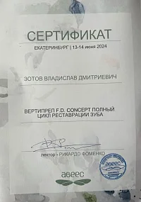 Сертификаты и дипломы Зотов Владислав Дмитриевич