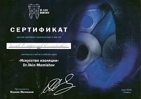 Сертификаты и дипломы Зотов Владислав Дмитриевич