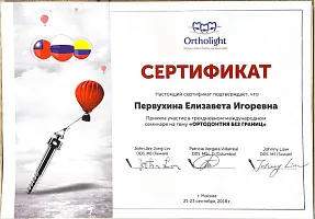 Сертификаты и дипломы Литвинова Елизавета Игоревна