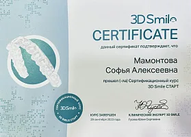 Сертификаты и дипломы Мамонтова Софья Алексеевна 