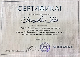 Сертификаты и дипломы Геюшова Яна Набиевна