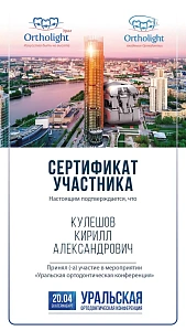 Сертификаты и дипломы Кулешов Кирилл Александрович