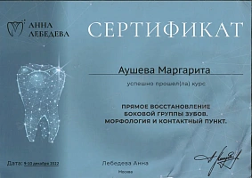 Сертификаты и дипломы Аушева Маргарита Александровна